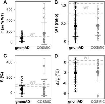 Effect of naturally-occurring mutations on the stability and function of cancer-associated NQO1: Comparison of experiments and computation